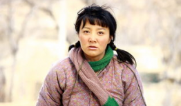 陶红电视剧,演绎人生百态，诠释情感真谛