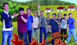 有关村官的电视剧,乡村振兴路上的奋斗传奇