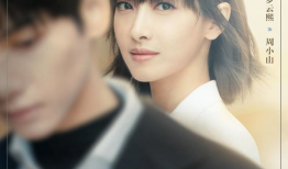 心跳 电视剧,揭秘生死边缘的医者传奇