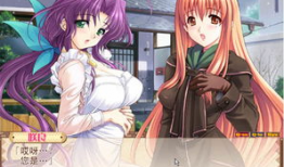 妻中蜜动漫全集